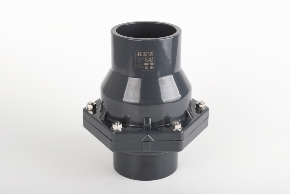 桥东翻板式止回阀