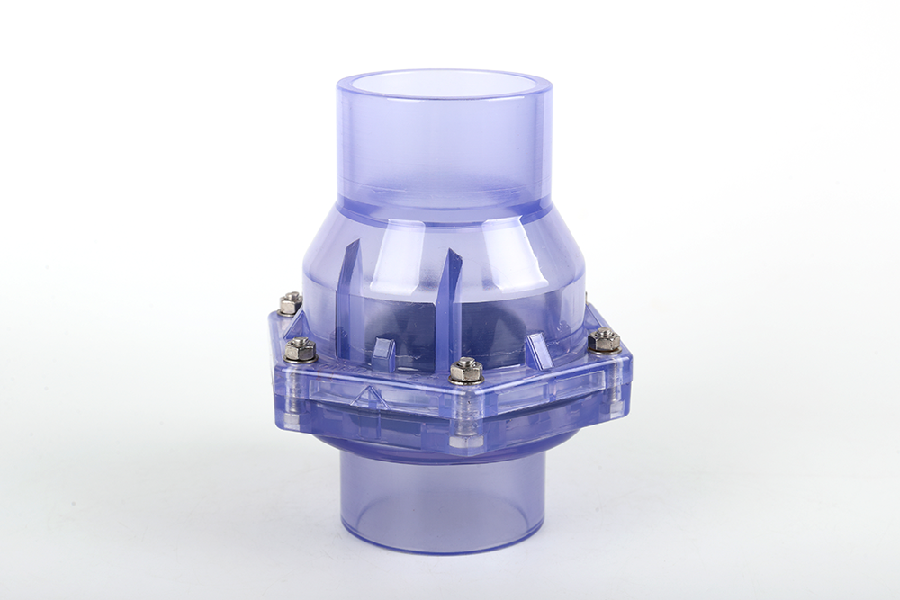 桥东透明翻板式止回阀